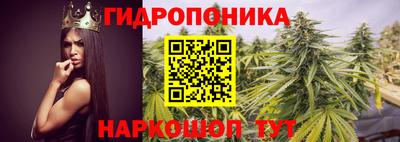 spice Донской