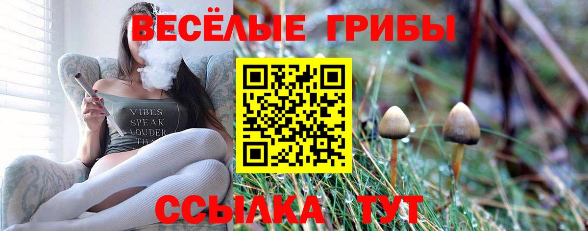 Псилоцибиновые грибы прущие грибы  Вход с VPN  Петровск 