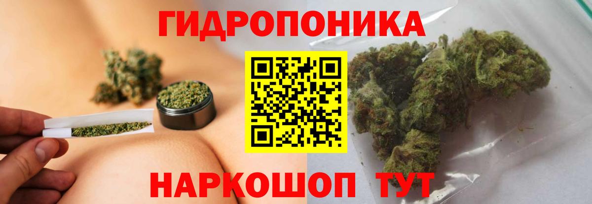 Бошки Шишки план  Бошки Шишки тримм  Петровск  Вход с VPN  Каннабис ГИДРОПОН 